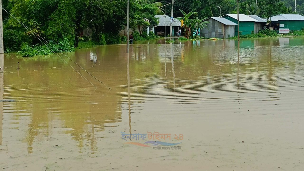 লামায় বন্যায় ৯৫৫ হেক্টর ফসলি জমি ক্ষতিগ্রস্ত, বিপাকে প্রায় ২ হাজার কৃষক