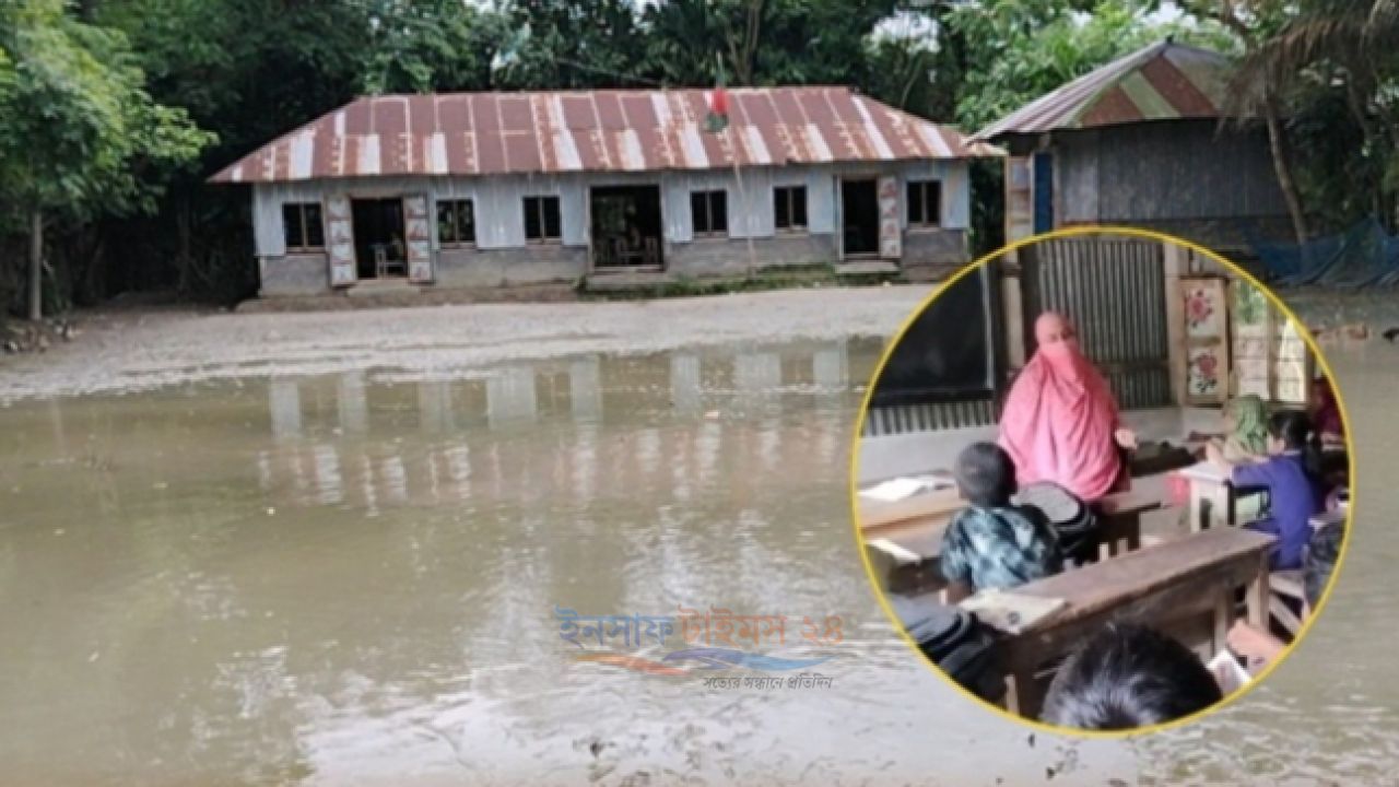 সামান্য বৃষ্টিতেই জলাবদ্ধতা দুর্ভোগে কোয়ায়েড বেসরকারি প্রাথমিক বিদ্যালয়