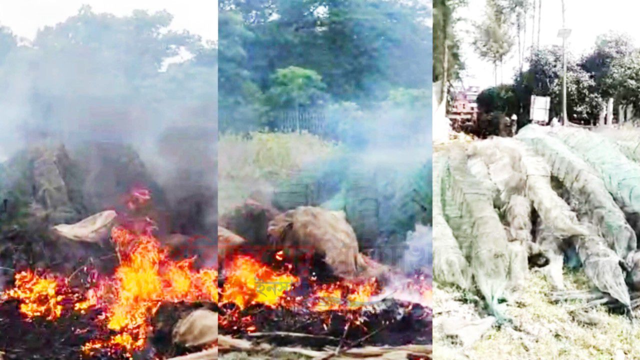 রাঙ্গাবালীতে মোবাইল কোর্টের অভিযান, ১৫ লাখ টাকার নিষিদ্ধ জাল পুড়িয়ে ধ্বংস