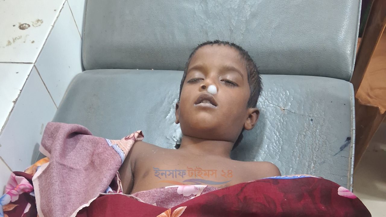 পোরশায় পুকুরে ডুবে শিশুর করুণ মৃত্যু