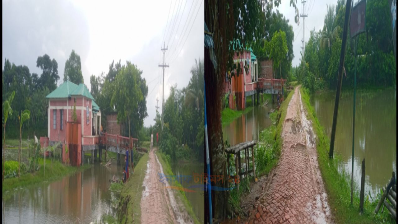 গোপালপুর থেকে বল্লভপুর: গাঁজার ছোবলে দিশেহারা শ্যামনগরের যুব সমাজ। 