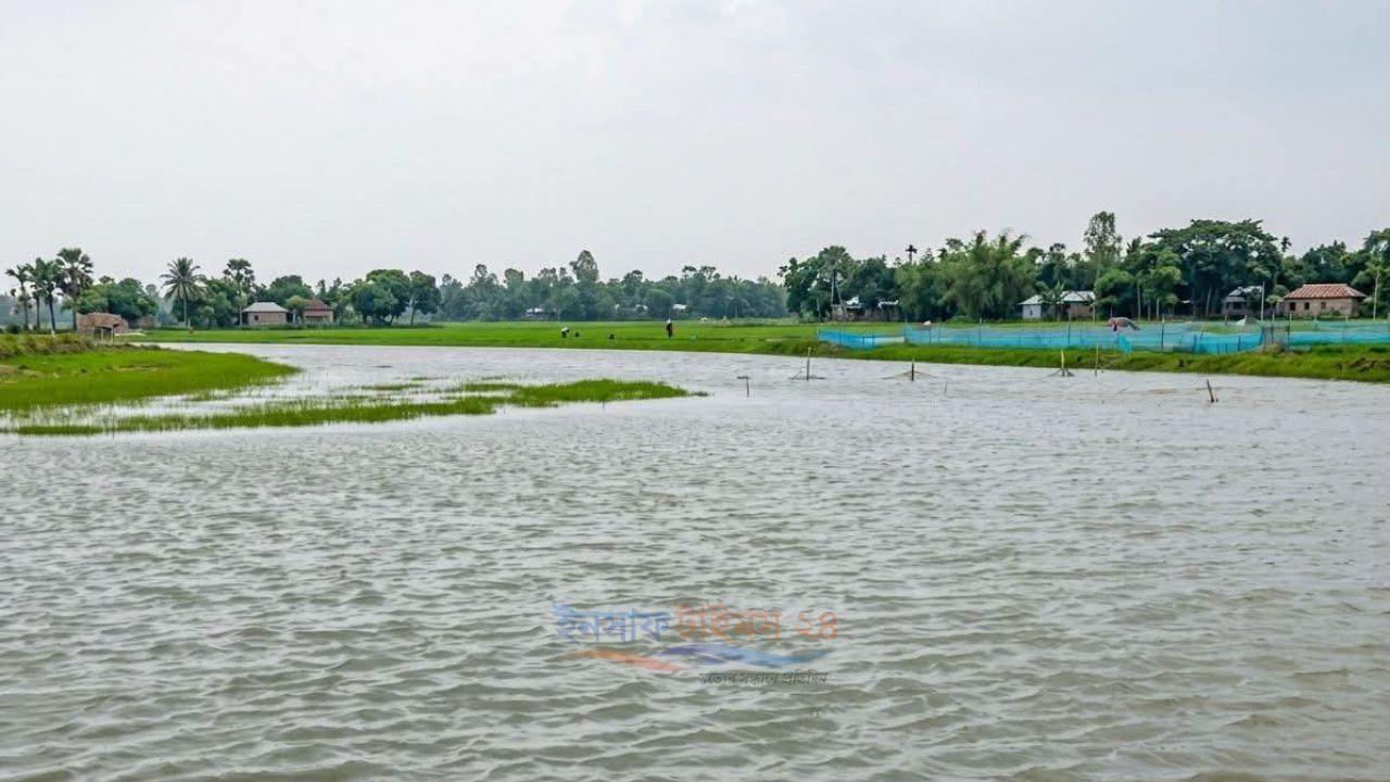 সরকার উন্মুক্ত করলেও মিলছে না অধিকার, পাইকগাছায়