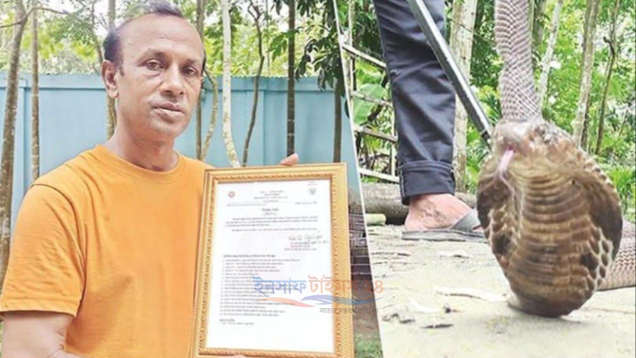 বিদেশে কোটি টাকার চাহিদা, দেশে নেই ক্রেতা বন্ধ হওয়ার পথে সাপের বিষের খামার