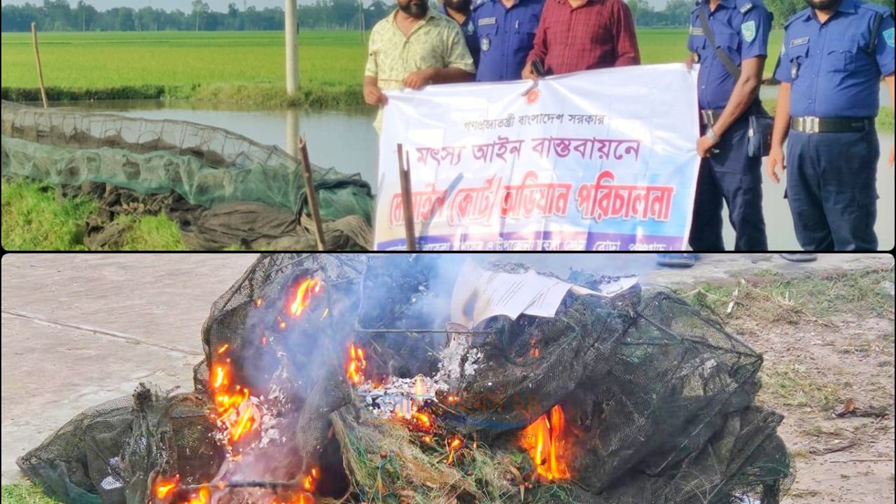 পঞ্চগড়ের বোদায় অভিযানে প্রায় ১ লক্ষ টাকার অবৈধ জাল জব্দ