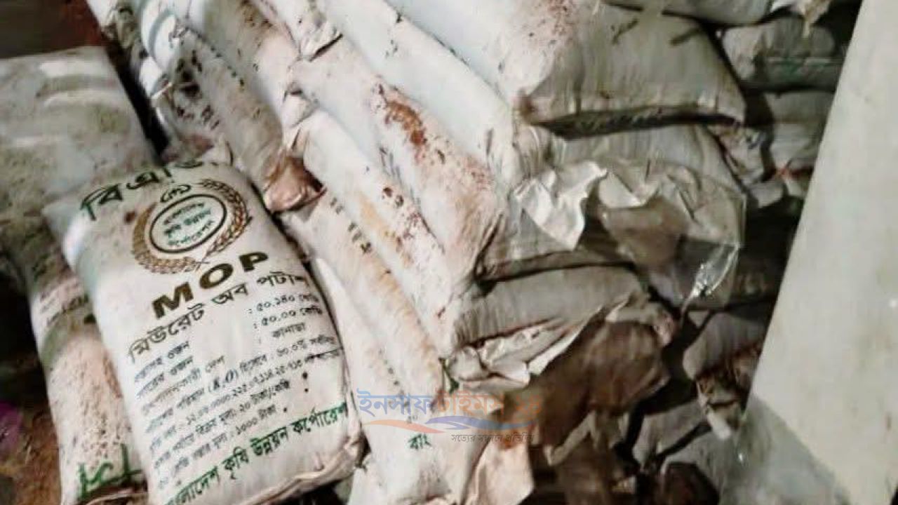 পোরশায় সরকারি বরাদ্দের বিএডিসির সার খোলা বাজারে বেশি দামে বিক্রির অভিযোগ