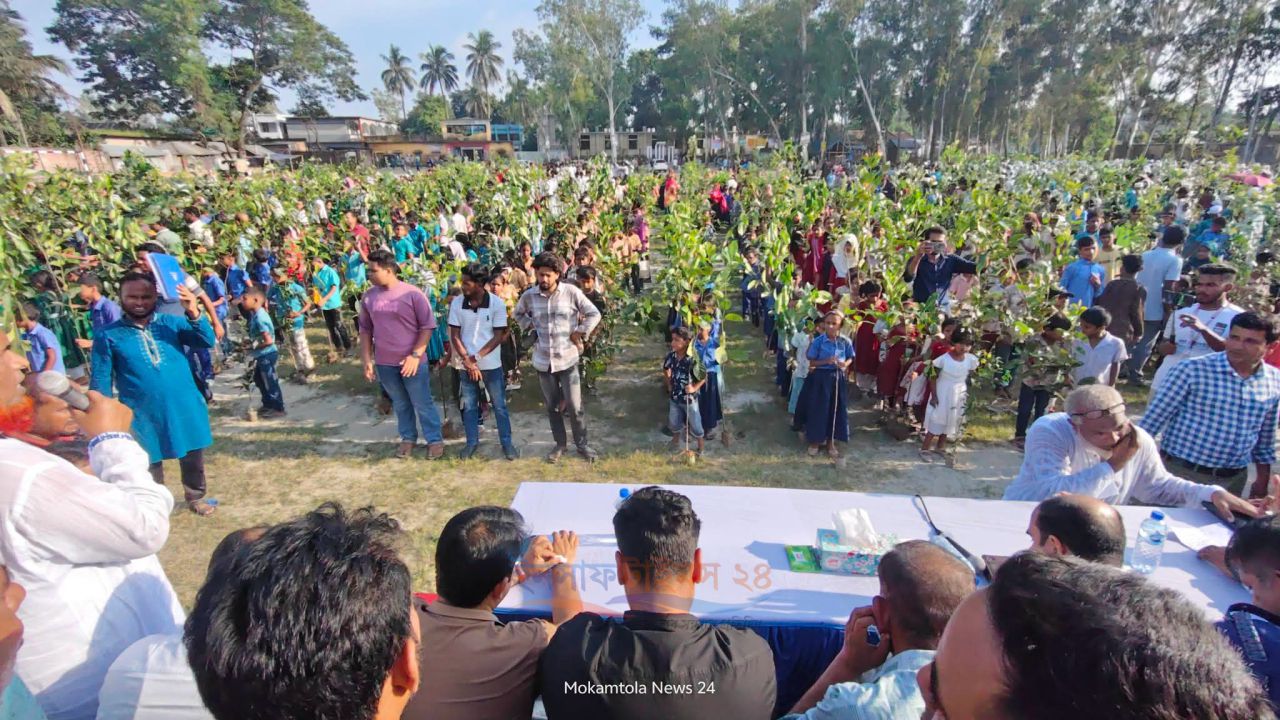 মোকামতলায় ওয়ান চাইল্ড, ওয়ান ট্রি কর্মসূচিতে চারা বিতরণ