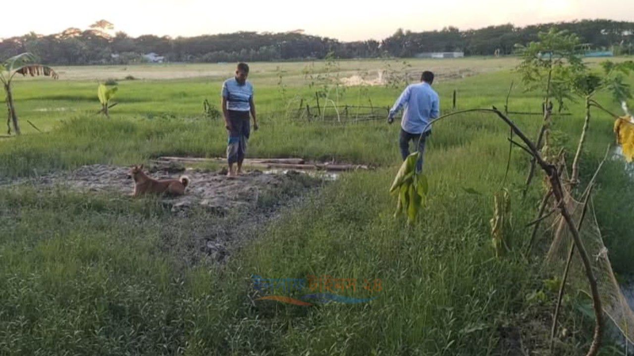 আমতলীতে রাতের আঁধারে ঘর ভাঙচুরের অভিযোগ, আদালতে মামলা