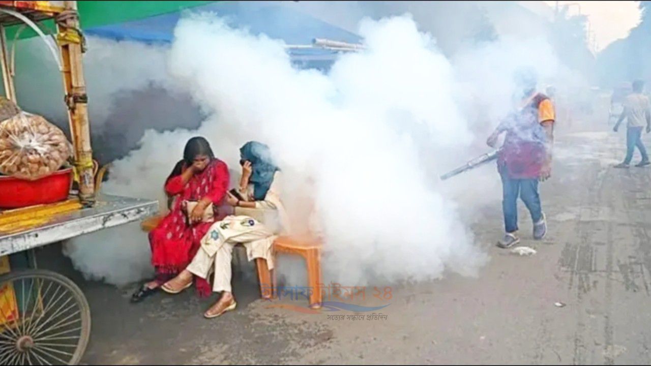 ঢাকার বাইরে বাড়ছে ডেঙ্গুর প্রকোপ, পাঁচ জেলায় সংক্রমণ বেশি