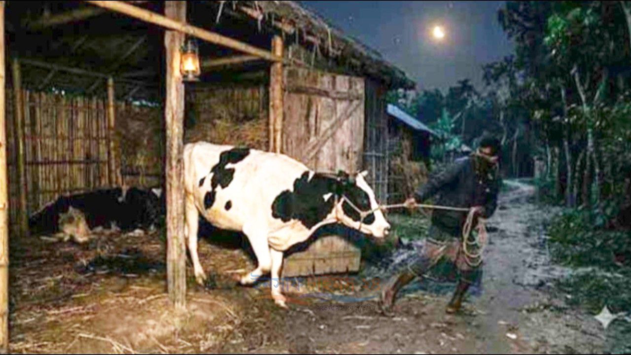 গরু চুরির অভিযোগে আটক দুইজনের ওপর গণপিটুনি, নিহত ১