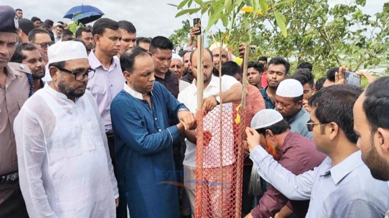 গাছ কাটার সঙ্গে জড়িতদের ৪৮ ঘণ্টার মধ্যে গ্রেপ্তারের নির্দেশ ডেপুটি স্পিকারের