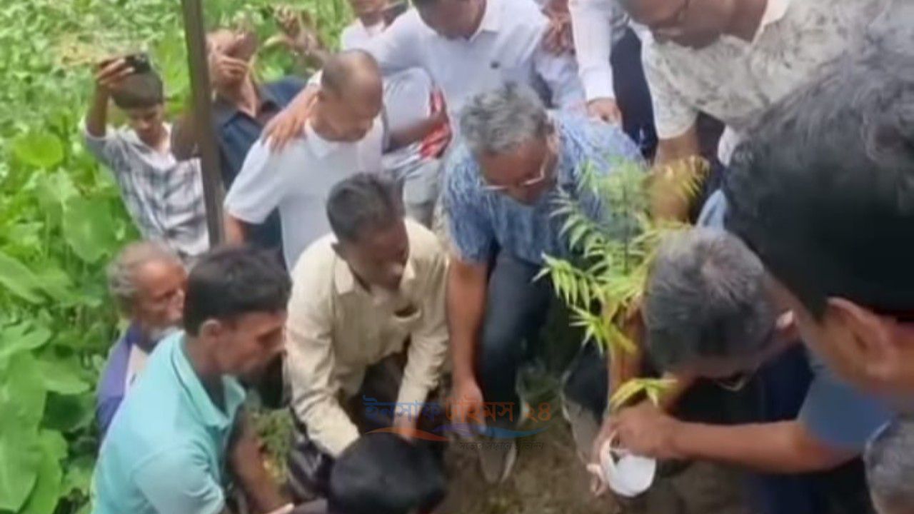 চাঁদপুরে বিএনপির প্রতিষ্টাবার্ষিকী উপলক্ষে বৃক্ষ রোপণ কর্মসূচি পালন