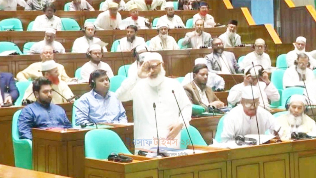বিরোধীদলের ওয়াকআউটের সময় সংসদে ছিলেন হাসনাত, কেন?