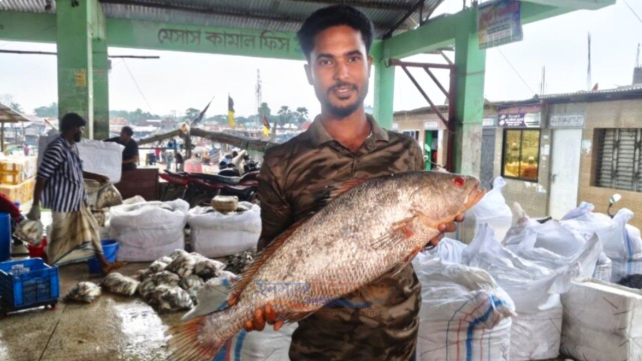 বঙ্গোপসাগরে জেলের জালে ৮ কেজির ‘কালো দাতিনা’, বিক্রি ৪০ হাজার টাকায়
