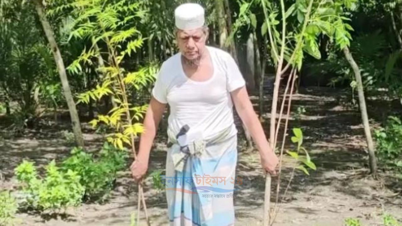 ৩৪ বছর ধরে গাছ লাগিয়ে গ্রামের সড়কের চিত্র বদলে দিলেন চরফ্যাশনের ইমাম বাবুল