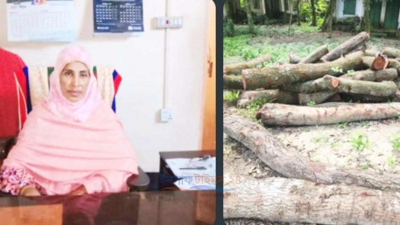 বগুড়ার মোকামতলায় সামাজিক বনায়নের গাছ কাটার অভিযোগে ইউপি ভারপ্রাপ্ত চেয়ারম্যানসহ ৭ জনের বিরুদ্ধে মামলা