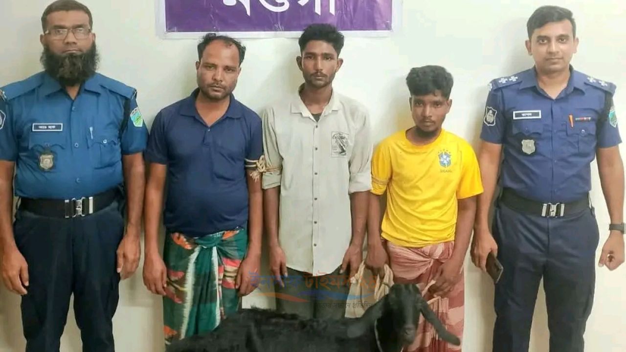 নওগাঁর পত্নীতলায় পুলিশের  অভি/যানে একটি দরিদ্র পরিবারের  চো/রাই ছাগল উ/দ্ধার এবং তিনজন ছাগল চো/র গ্রেফতার।   ।