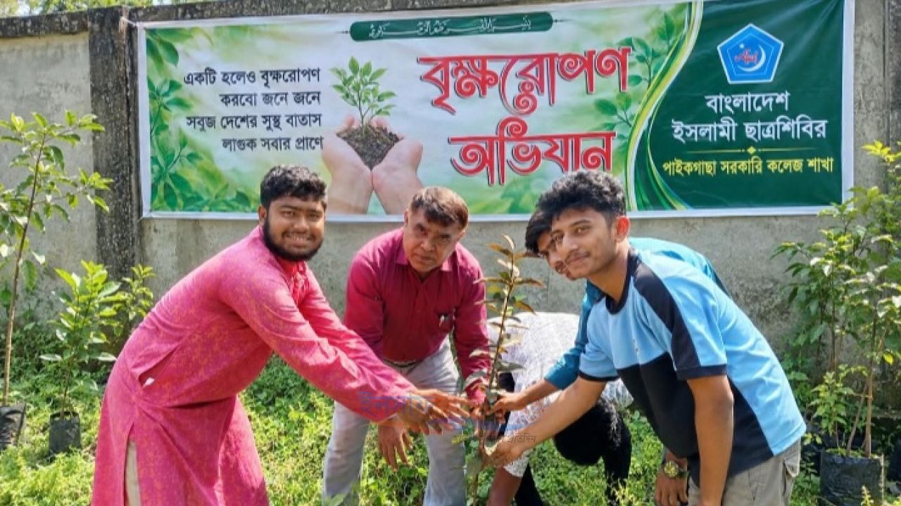 পাইকগাছা সরকারি কলেজ শাখা ছাত্রশিবিরের উদ্যোগে বৃক্ষরোপণ অভিযান