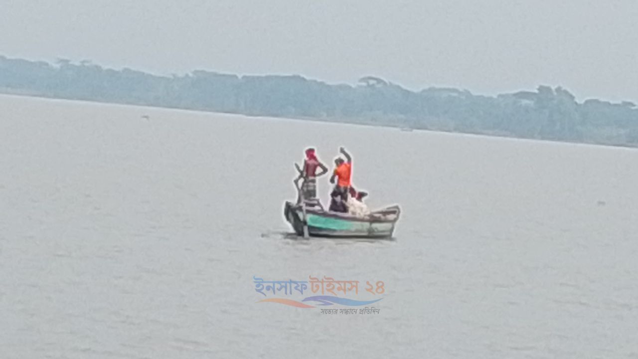 প্রশাসনের নাকের ডগায় পটুয়াখালীতে চলছে মা ইলিশ শিকারের মহোৎসব!