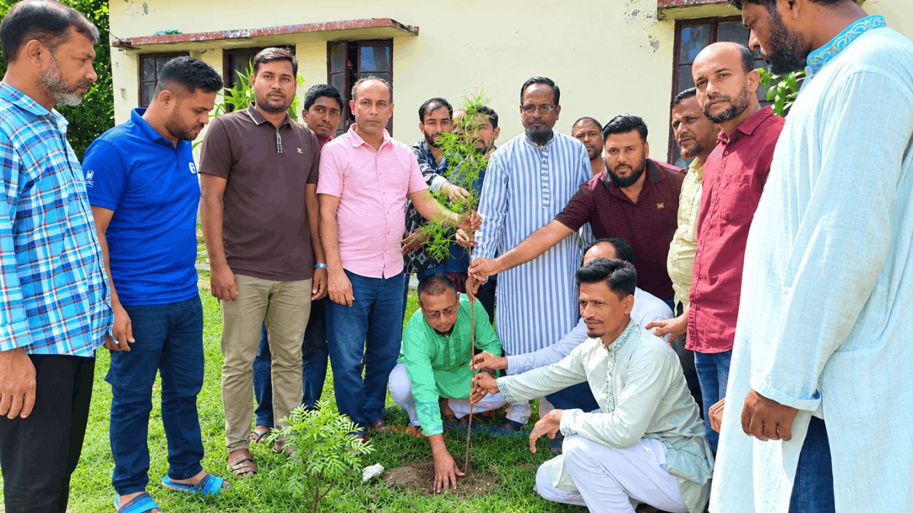 মনপুরায় যুবদলের ৪৮তম প্রতিষ্ঠাবার্ষিকীতে বৃক্ষরোপণ কর্মসূচি