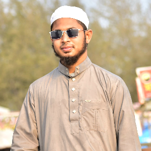 মো হাসিবুর রহমান হাসান 