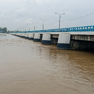 মোঃ সাব্বির হোসেন